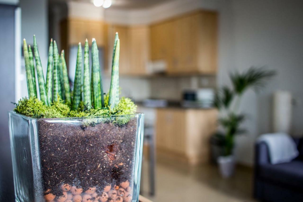 Flatguest Aquario Apartment Las Palmas de Gran Canaria Ngoại thất bức ảnh